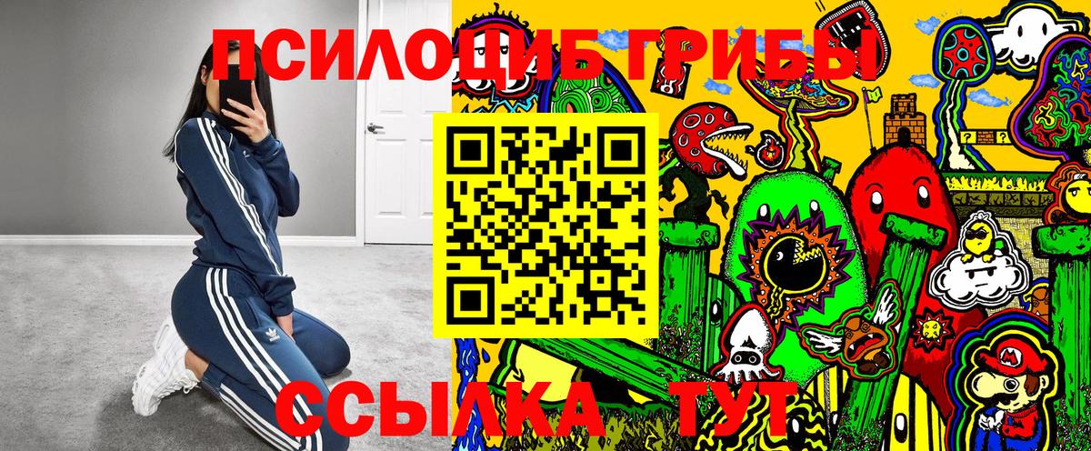 Тольятти  Галлюциногенные грибы GOLDEN TEACHER  Вход с VPN 